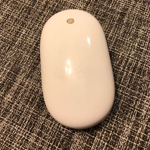 Apple Wireless Magic Mouse.